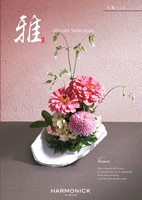 []ŷϡʤƤޡ