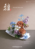 []鲻ʤϤĤ͡