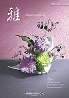 []ʤ褤