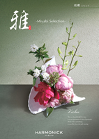 []ĳʤ礦